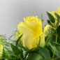 Preview: Gelbe Rose