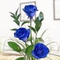 Preview: 3 blaue Rosen - Rosenstrauß
