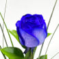 Preview: Einzelne blaue Rose