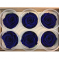 Haltbare blaue Rosen