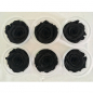 Konservierte schwarze Rosen