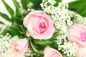 Preview: Rosa Rosen Blumenstrauß