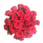 Rosenbox mit 30 echten Rosen