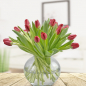 Preview: Rote Tulpen