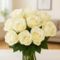Preview: Weiße Rosen