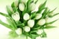 Preview: Bundware weiße Tulpen