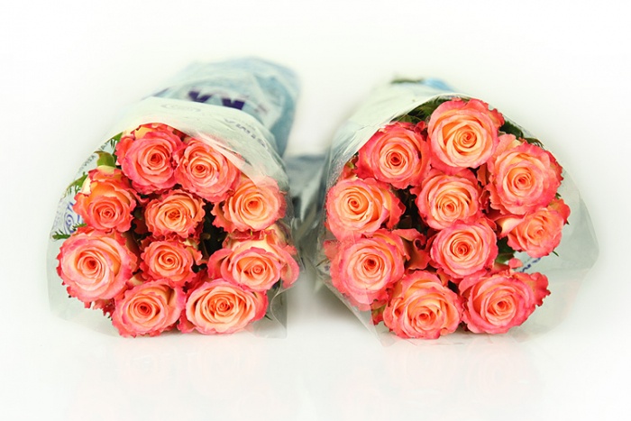 Rosen als Bundware Rosenstrauß Schnittblumen Blumenstrauß