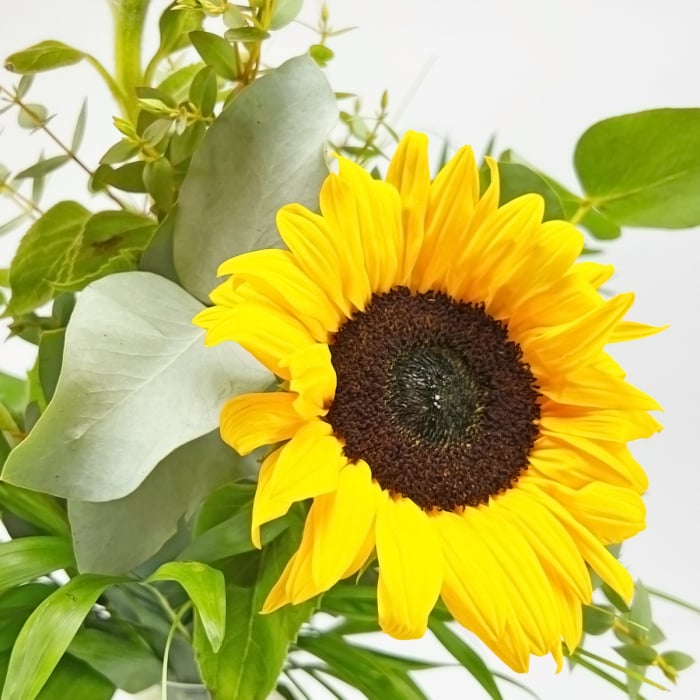 Sonnenblume im Blumenstrauß