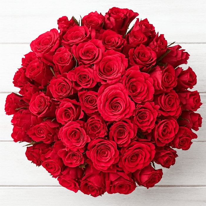 50 rote Rosen