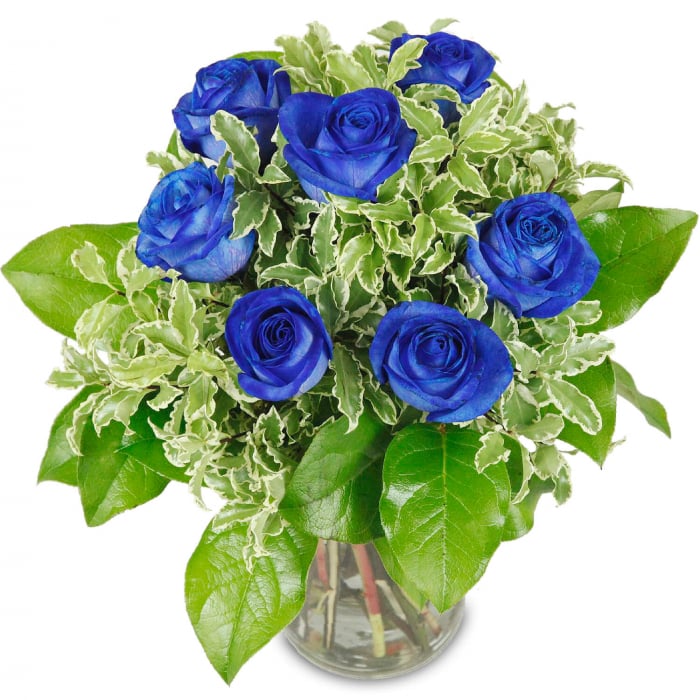 Premium Blumenstrauß blau und gelb Gerbera und mit Grünem dekoriert Rosen Echte Blumen! 