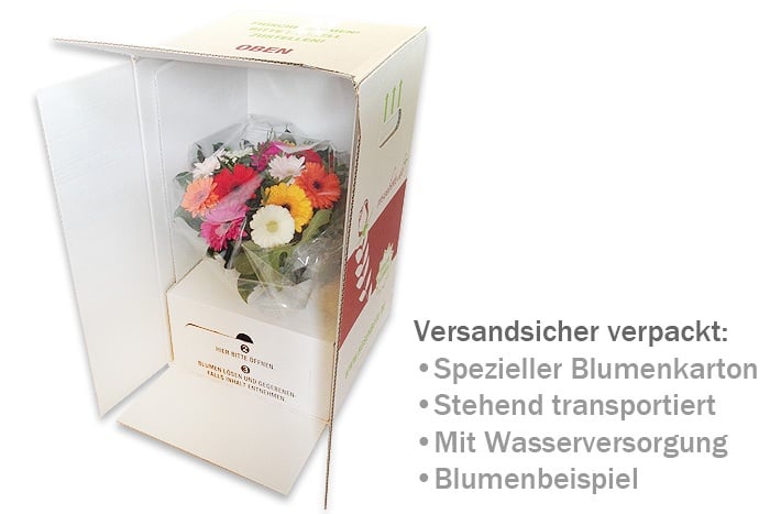 Verpackung für Sonnenblumen