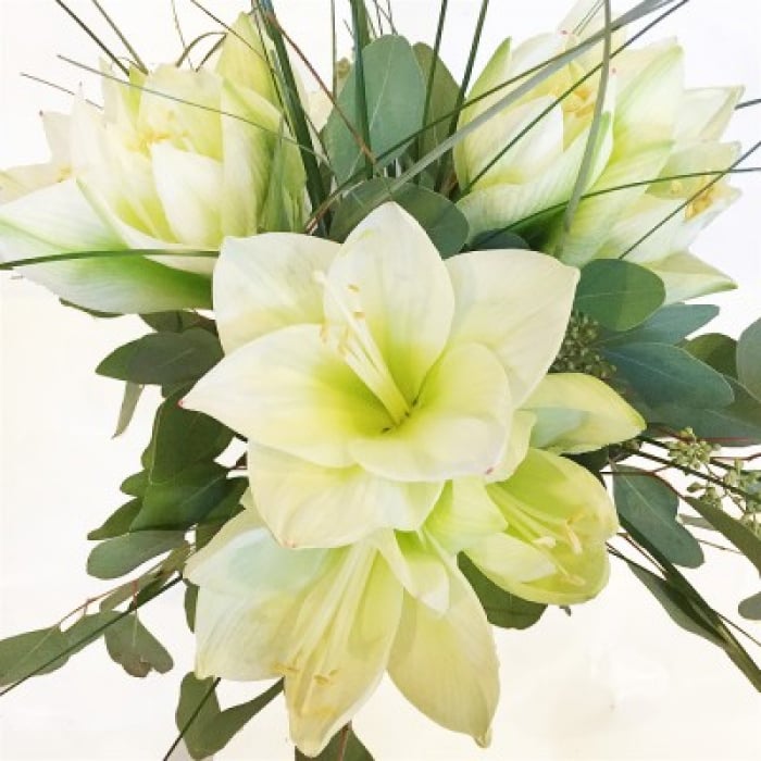 Weiße Amaryllis Blumenstrauß