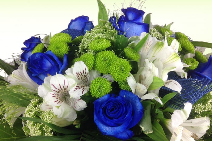 Premium Strauß mit blauen Rosen