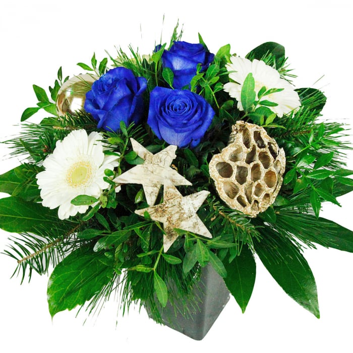 Blumen Weihnachten blaue Rosen