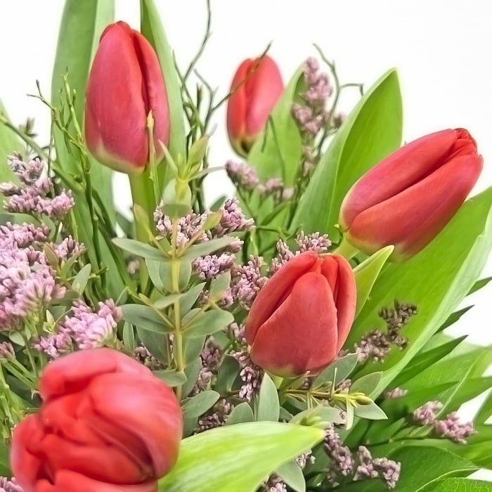 Blumenstrauß roten Tulpen Nahaufnahme