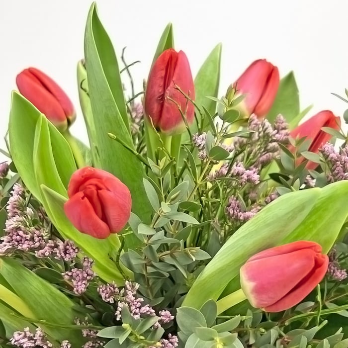 Blumenstrauß roten Tulpen Zoom