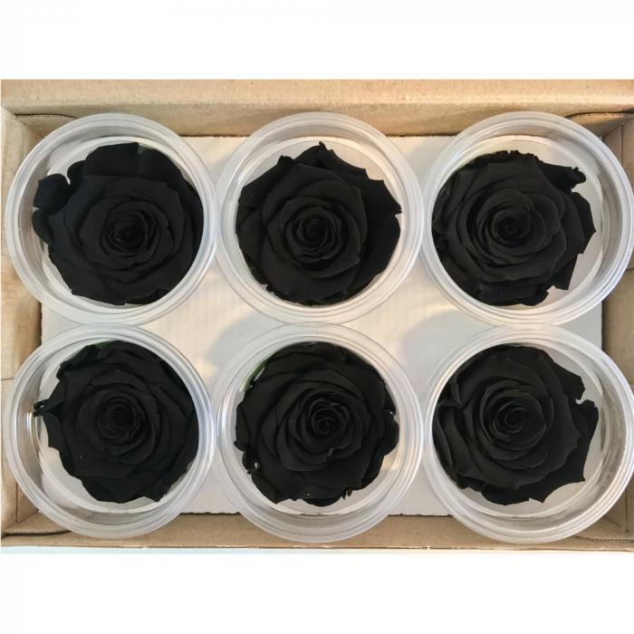 Haltbare schwarze Rosen