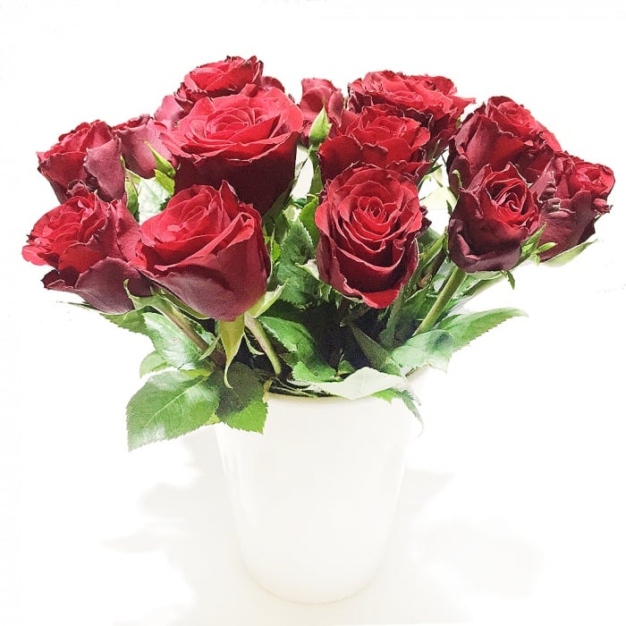 20 rote Rosen inklusive Keramikvase