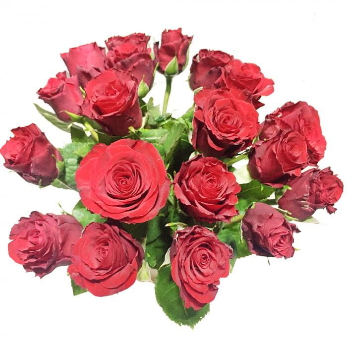 20 rote Rosen inklusive Vase