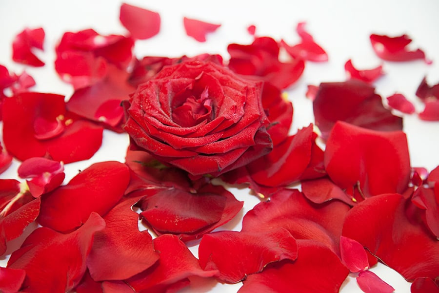 stimmungsaufhellend Rosenblätter Rosenblüten  *¨¨* entspannend