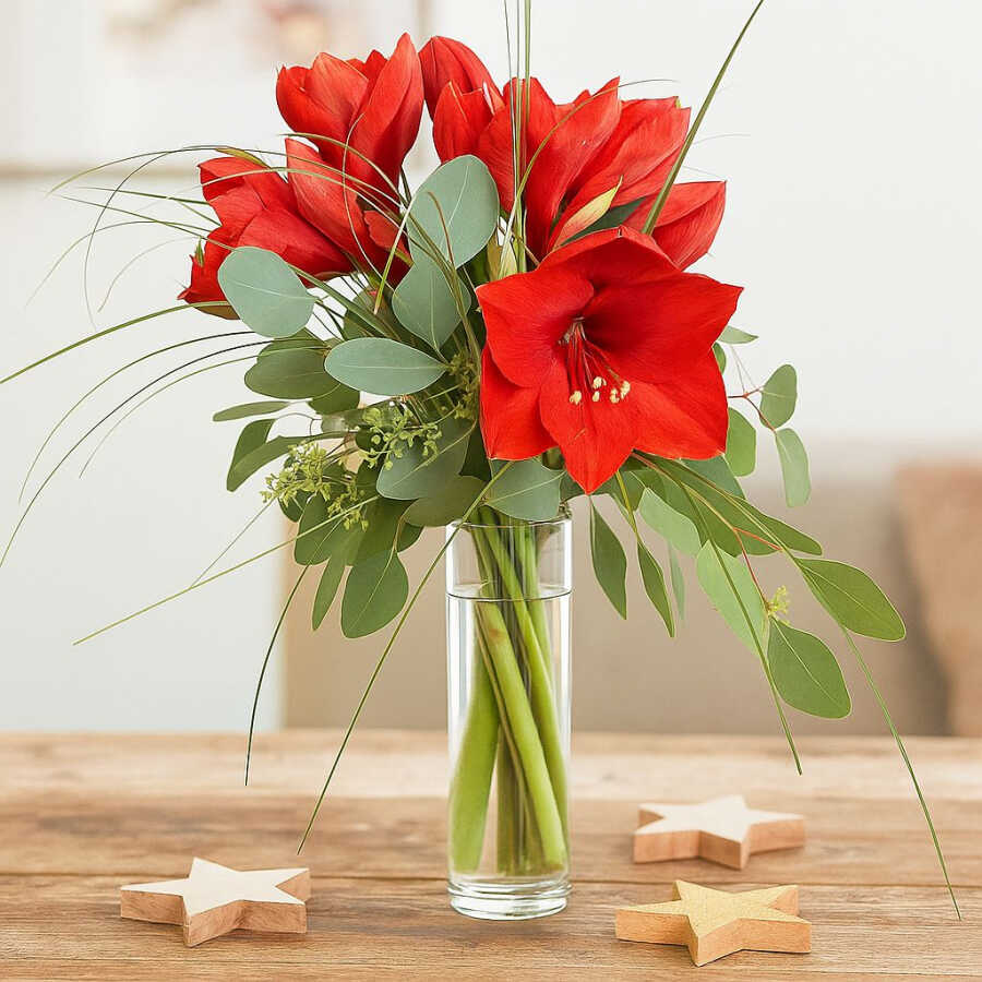 Rote Amaryllis Blumenstrauß