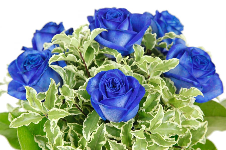 Strauß mit blauen Rosen