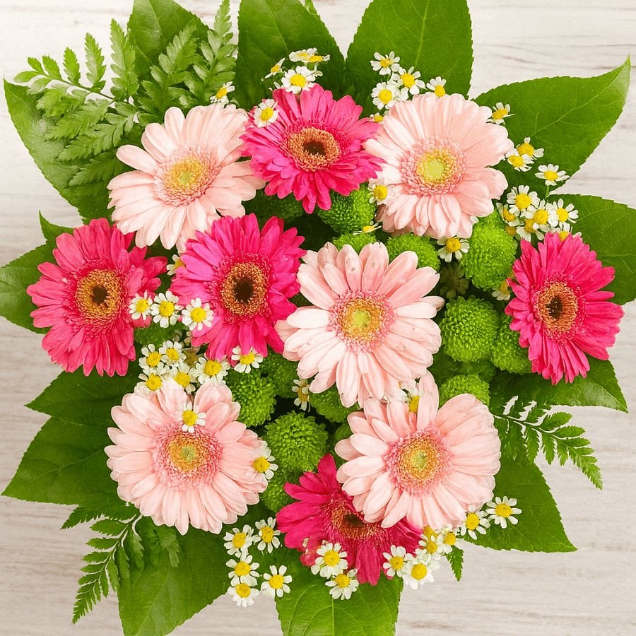 Gerbera Strauß Gerberastrauß