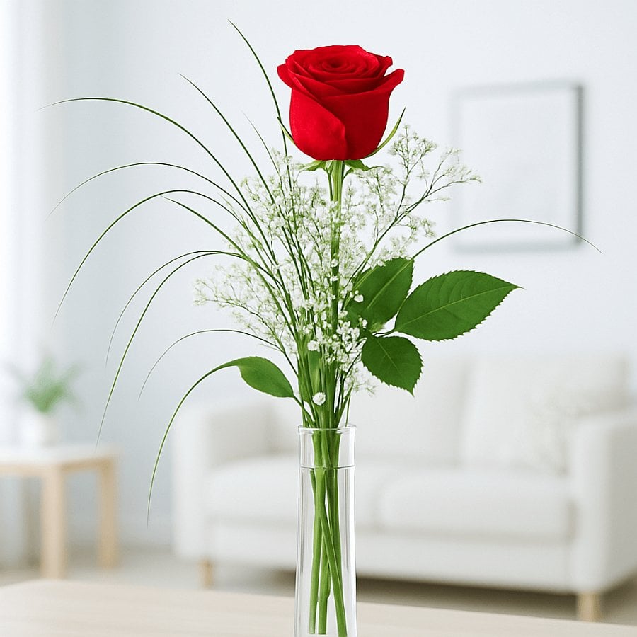 Einzelne Rose