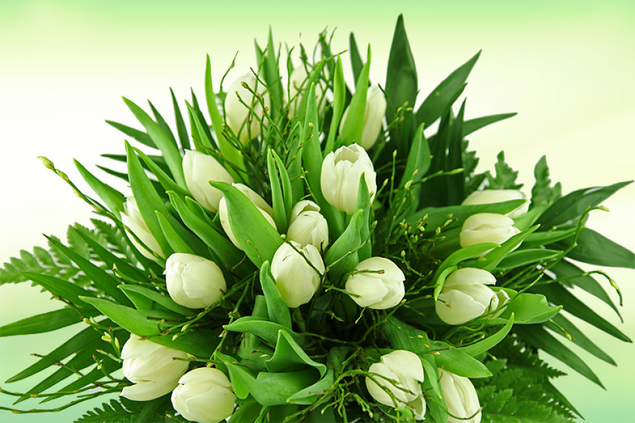 Tulpenstrauß mit weißen Tulpen