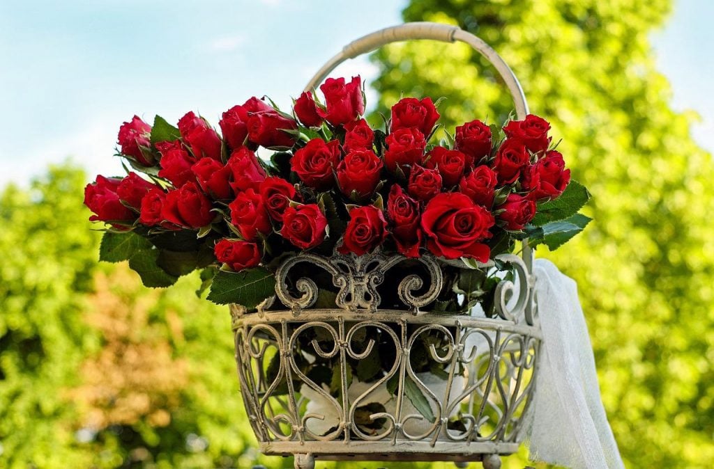 Korb mit roten Rosen