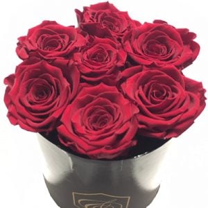 Konservierte Rosenbox 7 rote Rosen