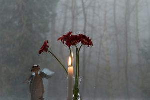 Gerberas und Kerze am Wald