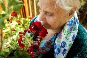 Blumen an Altenheim und Pflegeheim