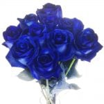 10 blaue Rosen