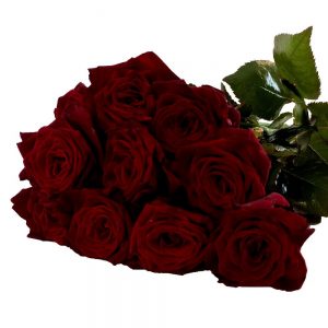 Schwarze Rosen