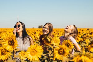Drei Mädchen im Sonnenblumenfeld