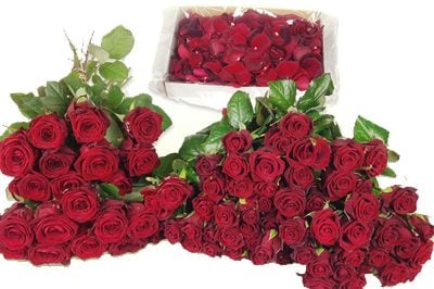 Rote Rosen und Rosenblätter