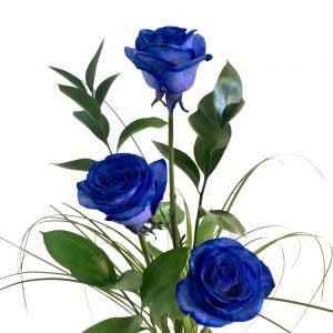Drei blaue Rosen