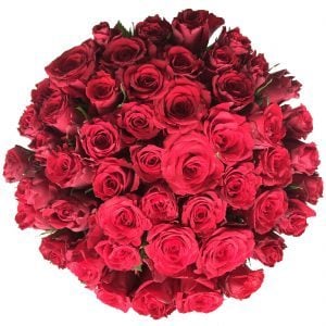 50 rote Rosen als Blumenstrauß