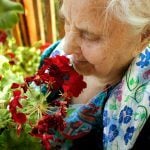Alte Frau riecht an rote Blume