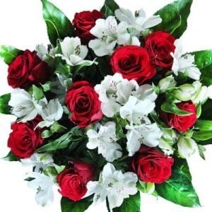 Unser Blumenstrauß Valentina schönen roten Rosen und Schleierkraut mit 7 St mit Gratis Grusskarte versenden Express Blumenversand im Frühling 