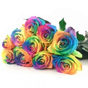 Zehn bunte Regenbogen Rosen
