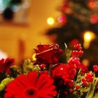 Roter Blumenstrauß mit Gerbera vor Weihnachtsbaum