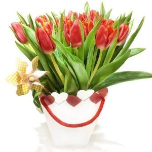 Rote Tulpen in Tasche